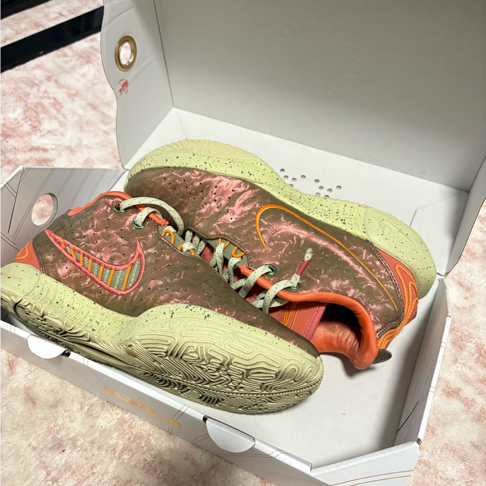 Nike LeBron Baskeball Shoes
